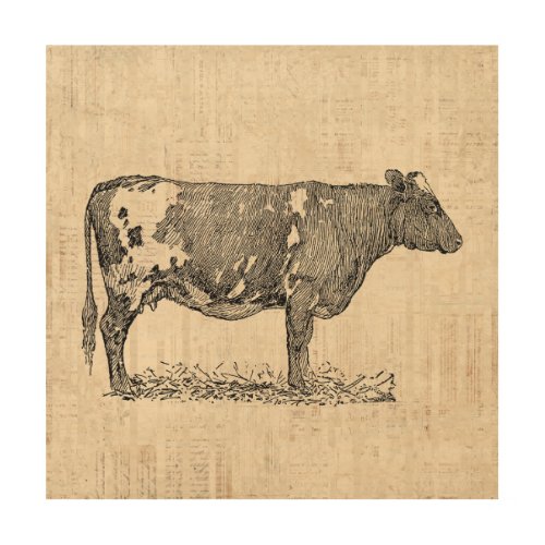 Vintage Cow Art Illustration w Script Background