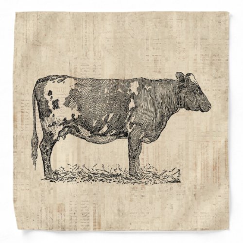 Vintage Cow Art Illustration w Script Background Bandana