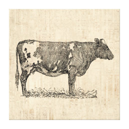 Vintage Cow Art Illustration w/ Script Background Canvas Print