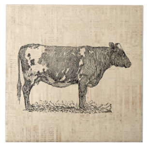 Vintage Cow Art Illustration w/ Script Background Ceramic Tile