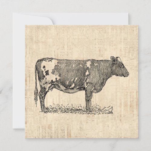 Vintage Cow Art Illustration w Script Background Invitation