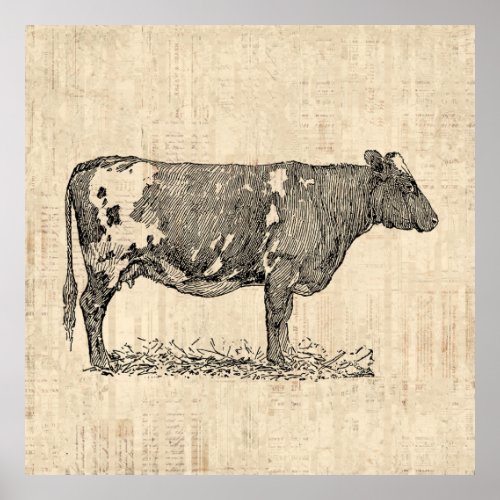 Vintage Cow Art Illustration w Script Background Poster