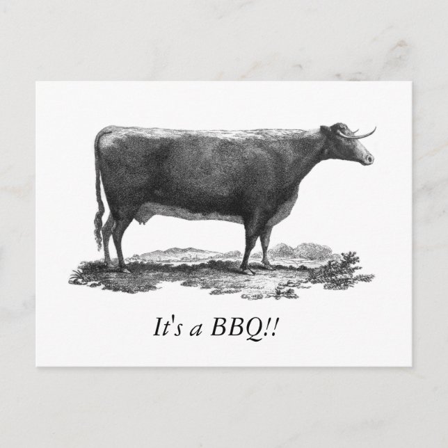 Vintage cow BBQ invitation card (Front)