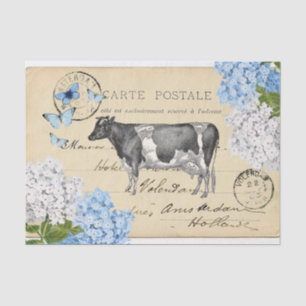 Vintage Cow Blue Flower Postcard Tissue Paper