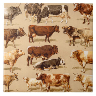 Vintage Cow Calf Bull Dairy Cows Farm Illustration Tile