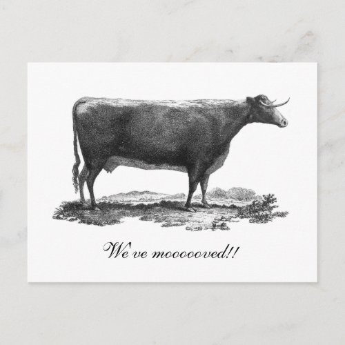 Vintage cow change of address card