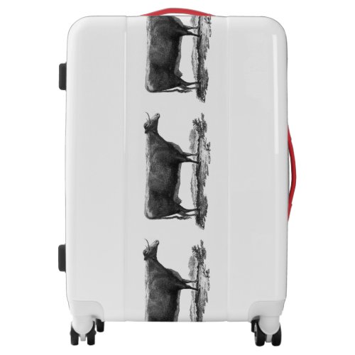 Vintage cow etching luggage