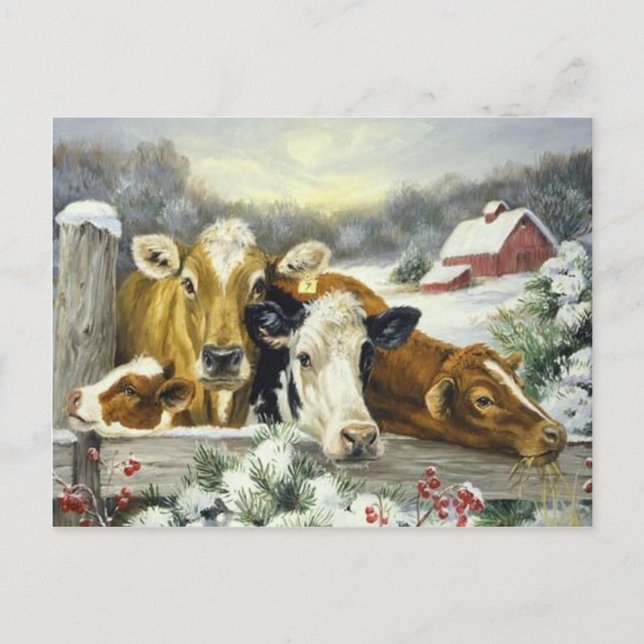 Vintage Cow Image Postcard (Front)