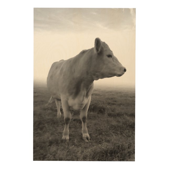 Vintage Cow on Country Farm Wood Wall Art (Front)