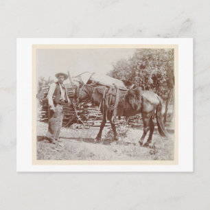 Vintage Cowboy 1900 Postcard