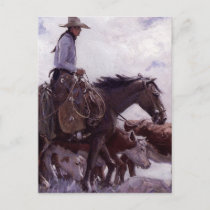 Vintage Cowboy with His Herd of Cattle by Koerner Postcard