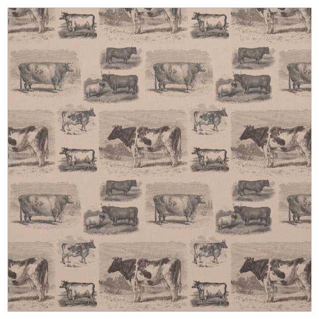 Vintage Cows Antique Cow Illustration Fabric (Swatch)