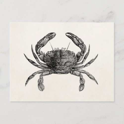 Vintage Crab Antique Crabs Personalized Template Postcard