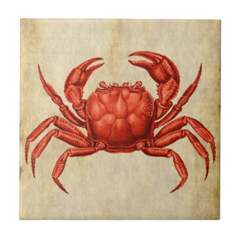 Vintage Crab Design Tile by elizme1 at Zazzle