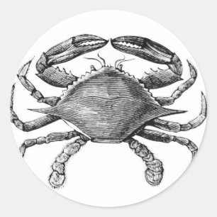 Vintage Crab Drawing Classic Round Sticker