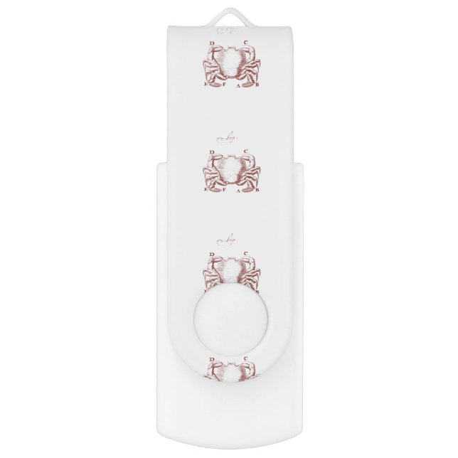 Vintage Crab Illistration Flash Drive (Front Vertical)