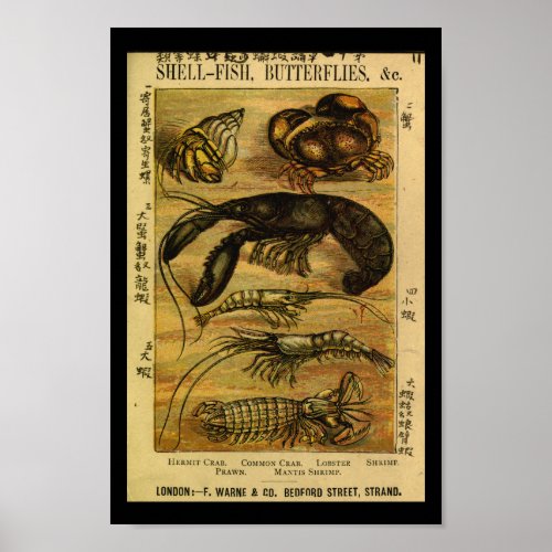 Vintage Crab Lobster Natural History Print