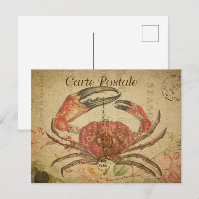 Vintage Crab Postcard (Front/Back)
