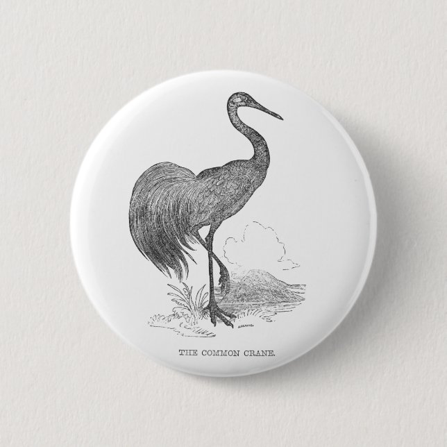 Vintage Crane Bird Pen and Ink Drawing Button (Front)