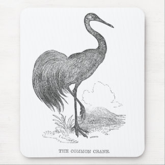 Vintage Crane Bird Pen and Ink Drawing Mouse Pad