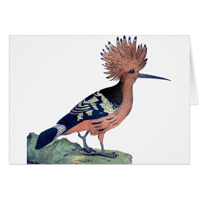 Vintage Crested Bird Cards (Front Horizontal)