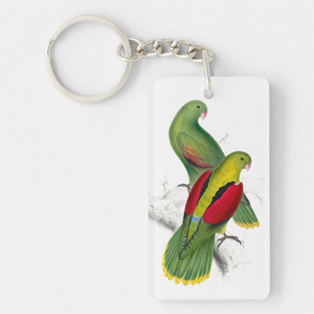 Vintage Crimson Winged Parakeet Keychain (Front)