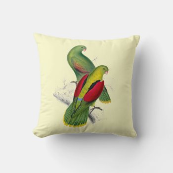 Vintage Crimson Winged Parakeet Throw Pillow by encore_arts at Zazzle