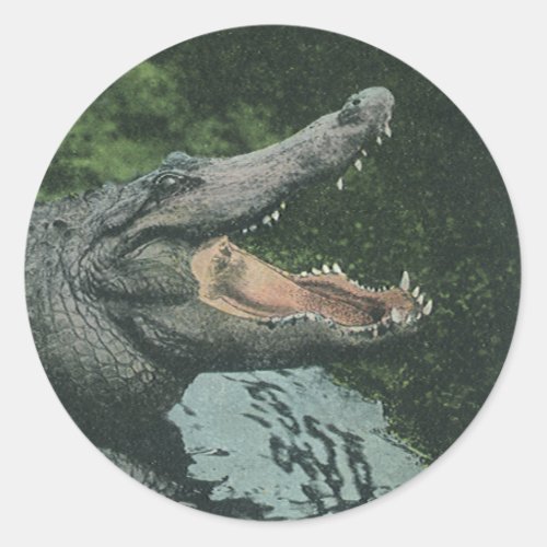 Vintage Crocodile Reptiles Marine Animal Life Classic Round Sticker