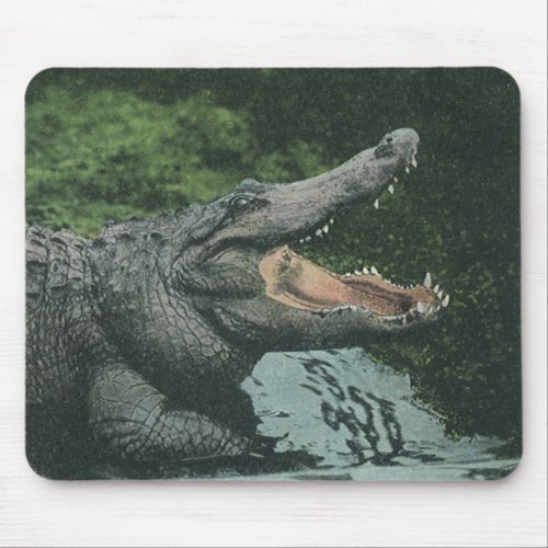 Vintage Crocodile Reptiles Marine Animal Life Mouse Pad