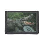 Vintage Crocodile Reptiles, Marine Animal Life Tri-fold Wallet