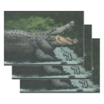 Vintage Crocodile Reptiles, Marine Animal Life Wrapping Paper Sheets