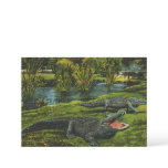 Vintage Crocodiles, Marine Life Reptiles Animals