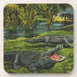 Vintage Crocodiles, Marine Life Reptiles Animals Beverage Coaster