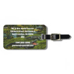Vintage Crocodiles, Marine Life Reptiles Animals Luggage Tag