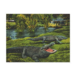 Vintage Crocodiles, Marine Life Reptiles Animals Postcard