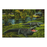 Vintage Crocodiles, Marine Life Reptiles Animals Poster