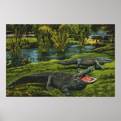 Vintage Crocodiles Marine Life Reptiles Animals Poster