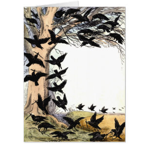 Vintage Crow Border Illustration Card