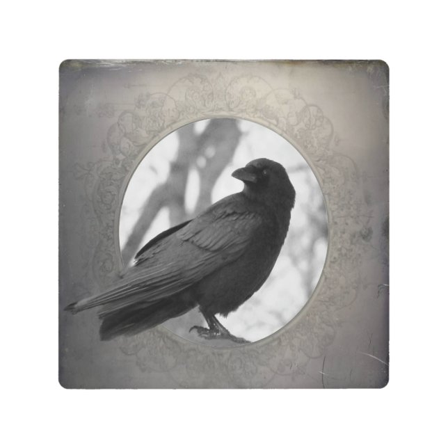 Vintage Crow Outside The Frame Metal Print (Front)