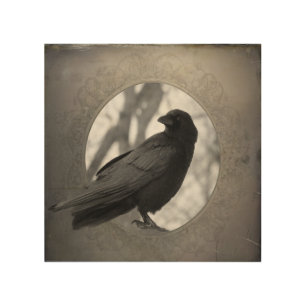 Vintage Crow Outside The Frame Wood Wall Art