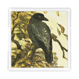 Vintage Crow Perched on a branch Theo van Hoytema Acrylic Tray