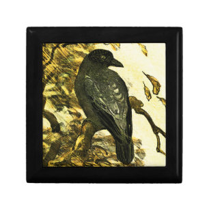 Vintage Crow Perched on a branch Theo van Hoytema Gift Box
