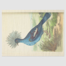 Vintage Crowned Blue Bird Ephemera Decoupage