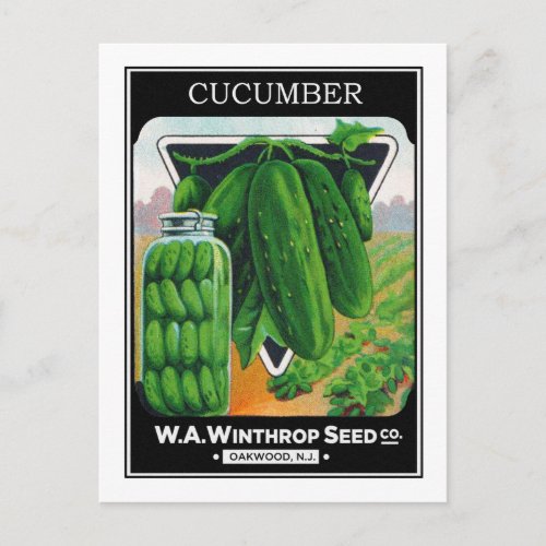 Vintage Cucumber Seed Package Label Postcard