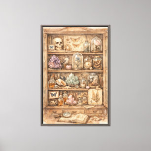 Vintage Curiosity Cabinet Illustration Canvas Print