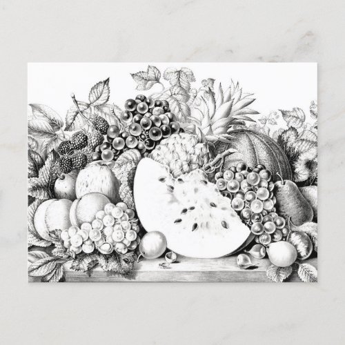 Vintage Currier  Ives Fruit Illustration Postcard