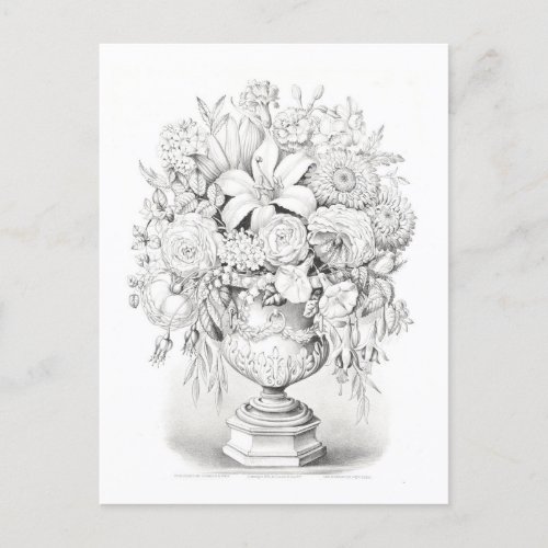 Vintage Currier  Ives Illustration Flower Bouquet Postcard