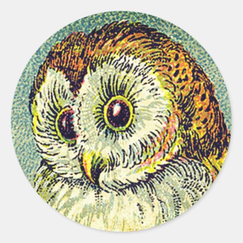 Vintage cute barn owl illustration brown and blue classic round sticker