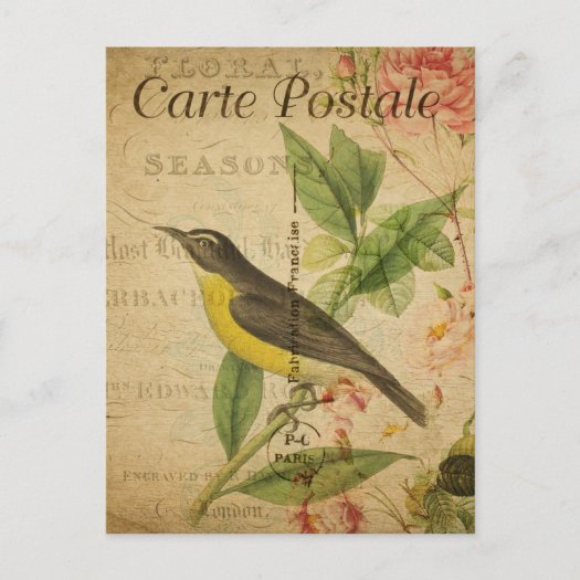 Vintage Cute Bird Pink Roses Floral French 