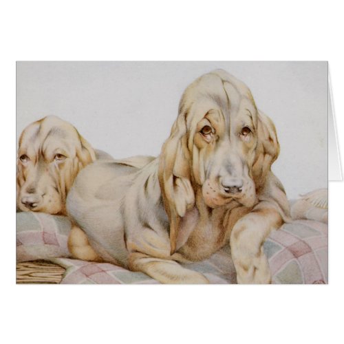 Vintage Cute Bloodhounds Puppy Dogs by EJ Detmold